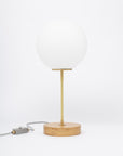 Matte Glass Globe Light Engine Dim To Warm Lamp