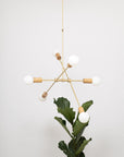 Oslo Six Sphere Dim to Warm Articulating Oak Pendant