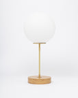 Matte Glass Globe Light Engine Dim To Warm Lamp