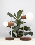 Stem Brass and Walnut table lamp with Sphere Dim to Warm bulbs
